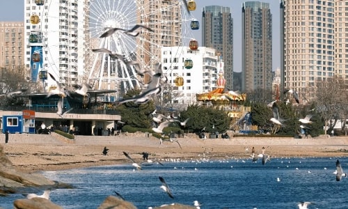 Xinghai Park-dalian